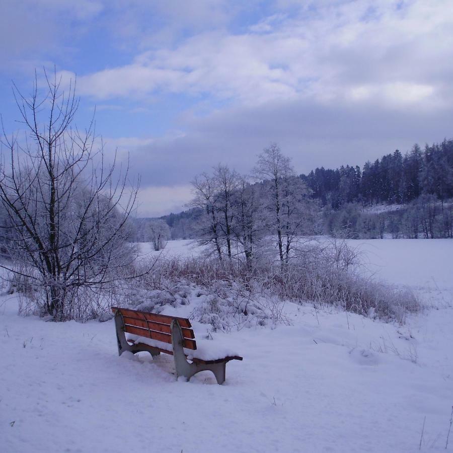 Feriendomizil-Sauerland Fewo 1 Медебах Екстериор снимка